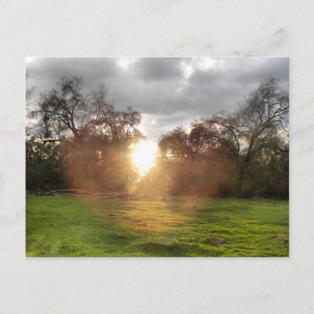 Glowing Ball of Light Postcard (Front)