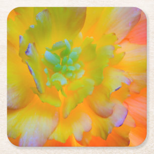 Glowing Begonia Blossom Seabeck, WA Square Paper Coaster
