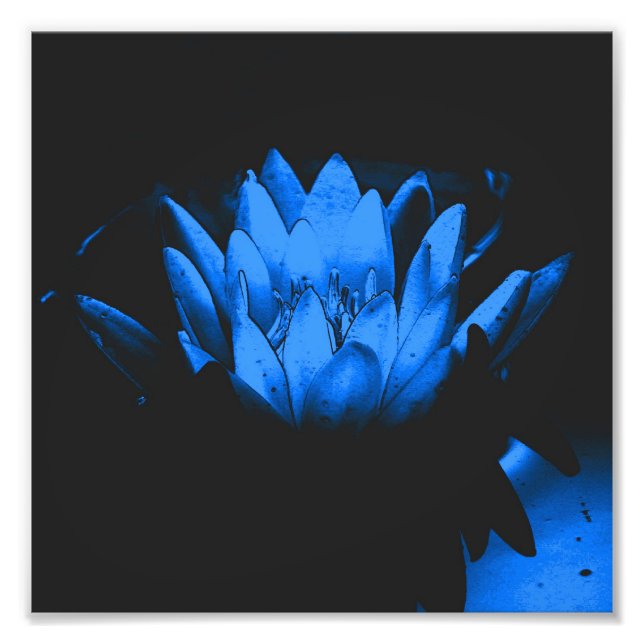 Glowing Blue Water Lily Lotus Flower Abstract 8x8 Photo Print (Front)