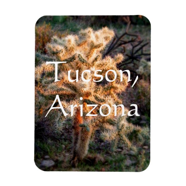Glowing cholla Tucson, Arizona Magnet (Vertical)