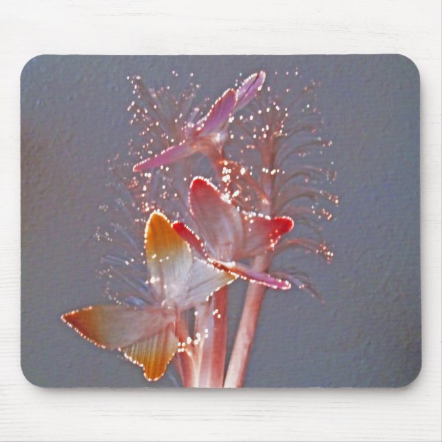 Glowing Fibre Optic Butterflies Mouse Pad (Front)