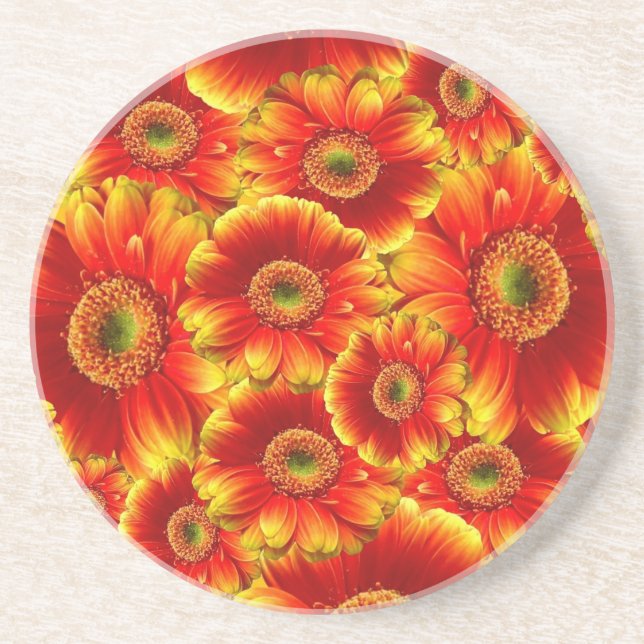 Glowing Gerbera Daisies Coaster (Front)
