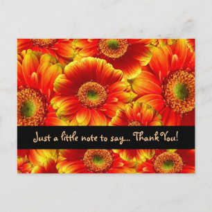 Glowing Gerbera Daisies Thank YOu Postcard