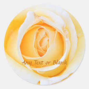 Glowing Goddess Yellow Rose Classic Round Sticker