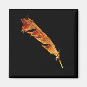 Glowing Hot Raven's Feather Bird-lover Crow design Magnet