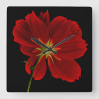 Glowing in Darkness/Red Gerbera Photography