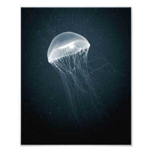 Glowing Jellyfish Underwater Photography Photo Print