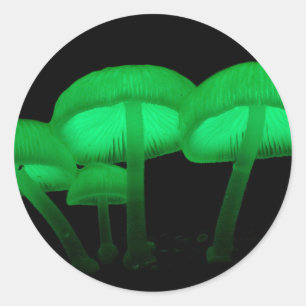 Glowing Mushrooms Classic Round Sticker