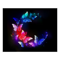 Glowing Neon Night Butterflies on Black background