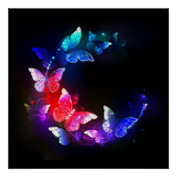Glowing Neon Night Butterflies on Black background