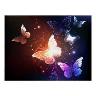 Glowing Night Butterflies Poster