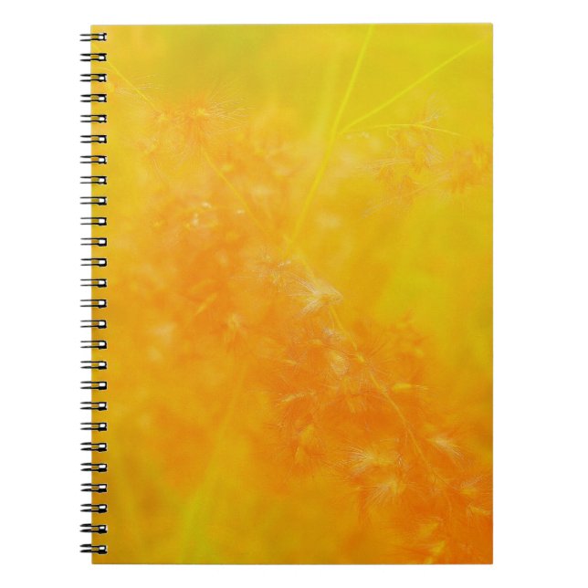 Glowing Orange Notebook (Front)