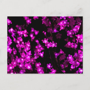 Glowing Pink Flower Lights Postcard