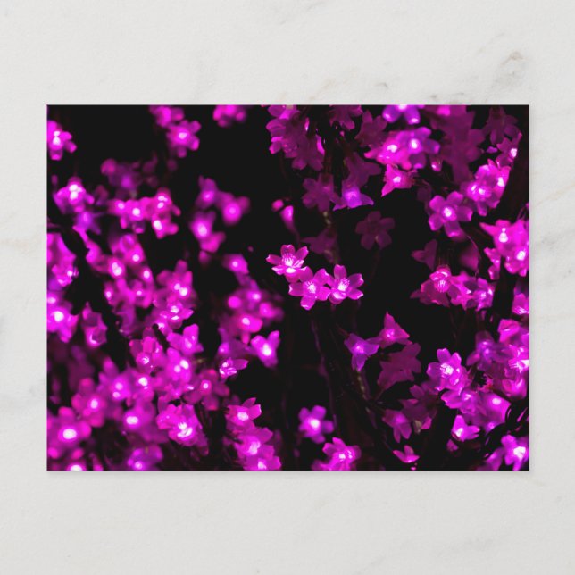 Glowing Pink Flower Lights Postcard (Front)