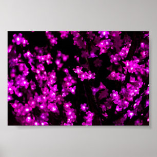 Glowing Pink Flower Lights Poster