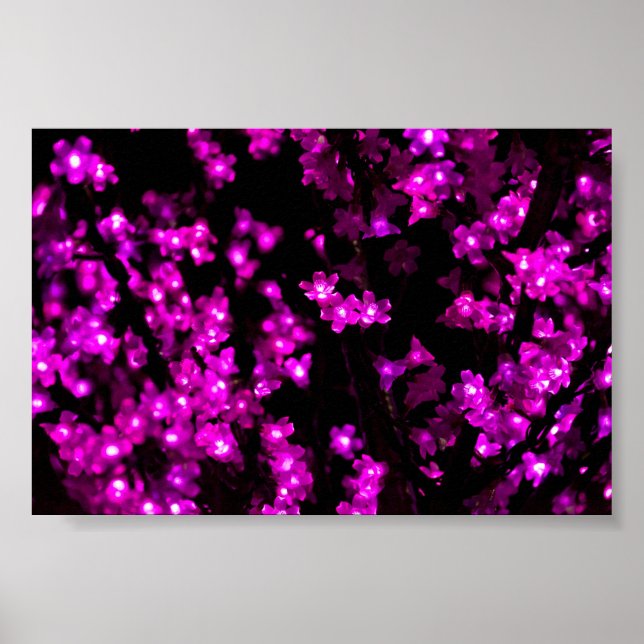 Glowing Pink Flower Lights Poster (Front)
