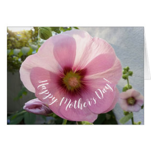Glowing Pink Hollyhock Flower Mother's Day Card