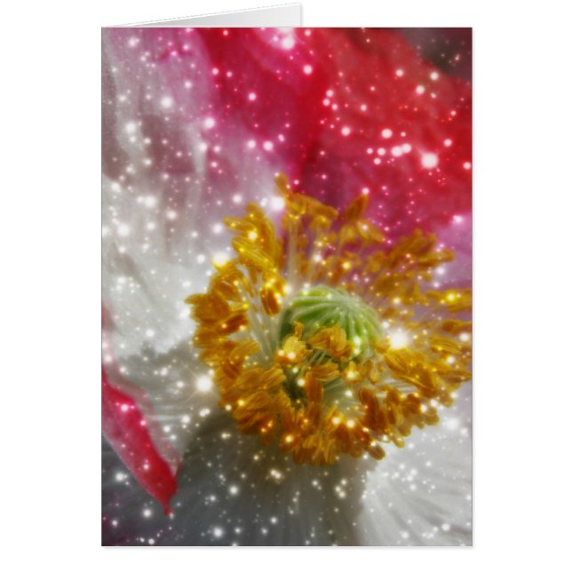 Glowing Poppy (Front)