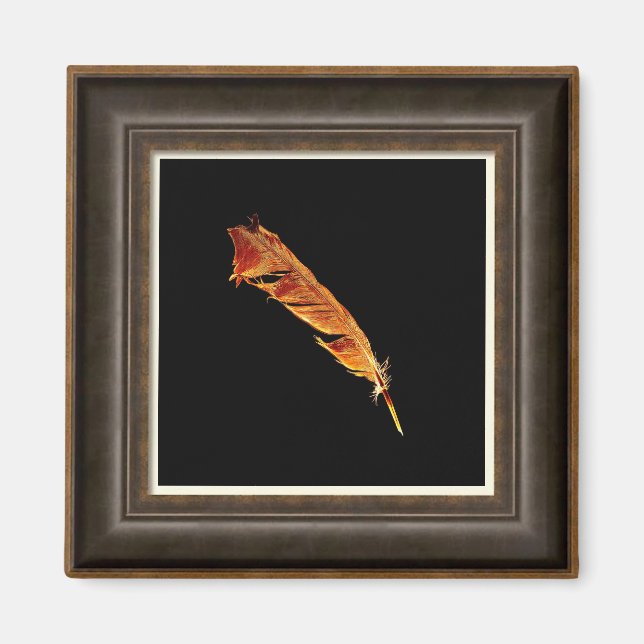 Glowing Raven Feather Bird-lover Framed Art Effect Magnet (Front)