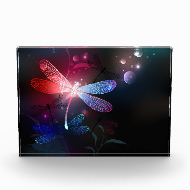 Glowing red dragonfly photo block (Front)