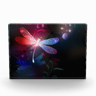 Glowing red dragonfly photo block