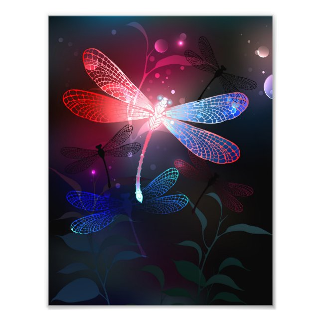 Glowing red dragonfly photo print (Front)