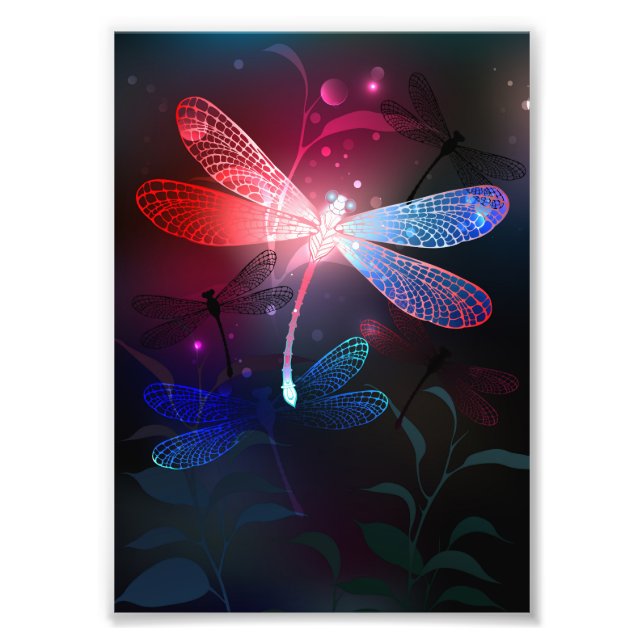 Glowing red dragonfly photo print (Front)