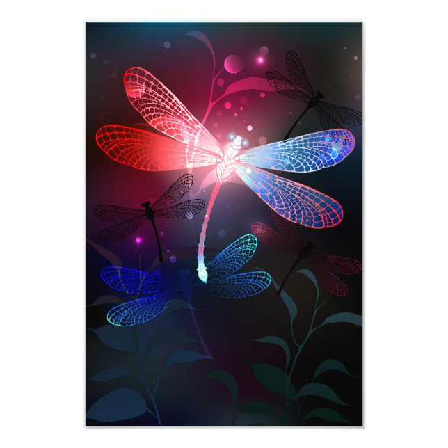 Glowing red dragonfly photo print (Front)
