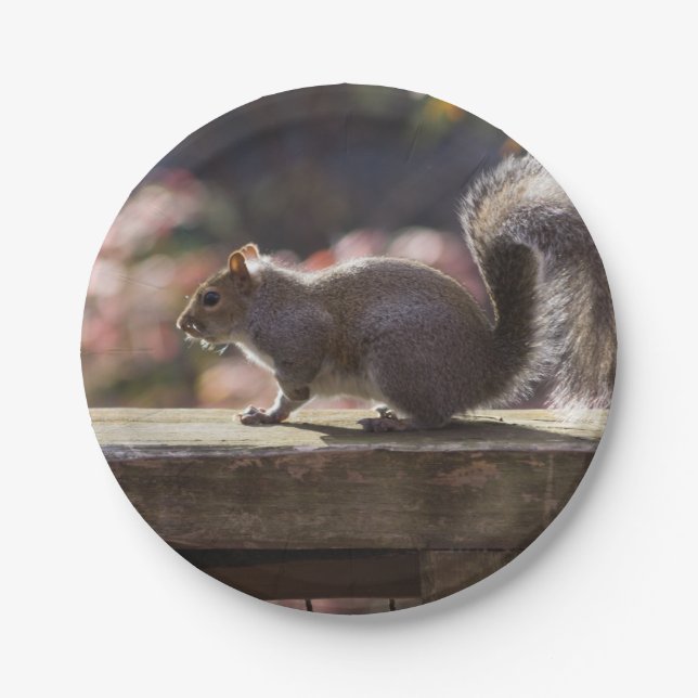 Glowing Squirrel Paper Plate (Front)