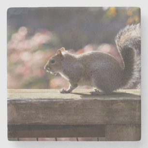 Glowing Squirrel Stone Coaster