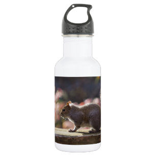 Glowing Squirrel Water Bottle