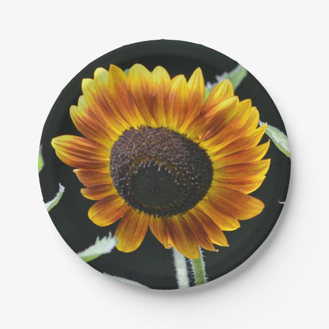 Glowing Sunflower Paper Plate (Front)