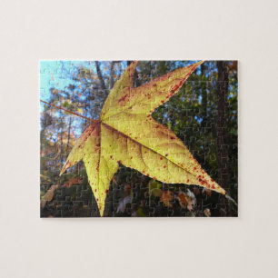 Glowing Sweetgum Leaf in the Forest Jigsaw Puzzle