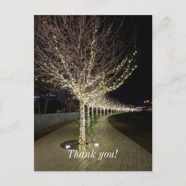 Glowing Trees Walkway Postcard (Front)