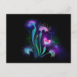 Glowing Venus Flytrap Postcard