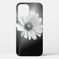 glowing white cosmos on black