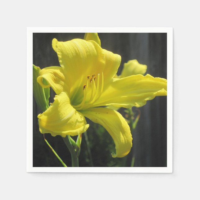 Glowing Yellow Daylily Paper Napkin (Front)