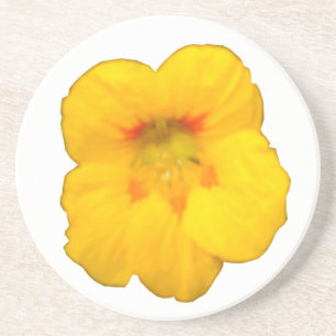 Glowing Yellow Nasturtium Coasters