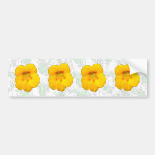 Glowing Yellow Nasturtium Flowers Bumper Sticker