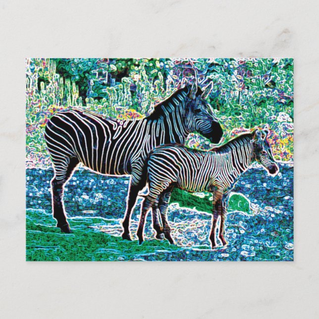 glowing zebras 01 postcard (Front)
