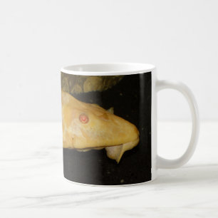 Glyptoperichthys gibbiceps coffee mug