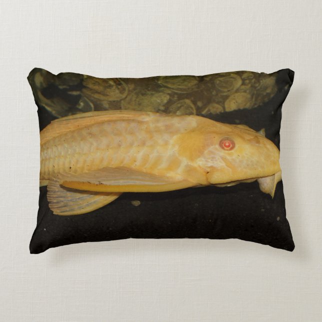 Glyptoperichthys gibbiceps decorative cushion (Front)