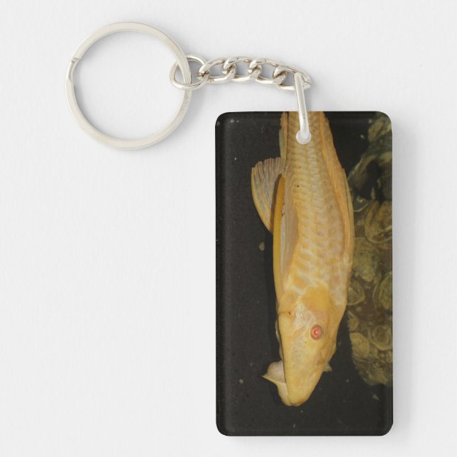 Glyptoperichthys gibbiceps key ring (Front)