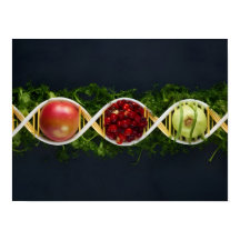 GMO Food and Genetically Modified Crops