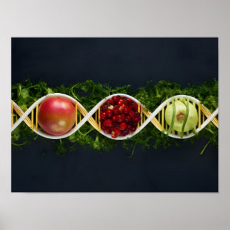GMO Food and Genetically Modified Crops Poster