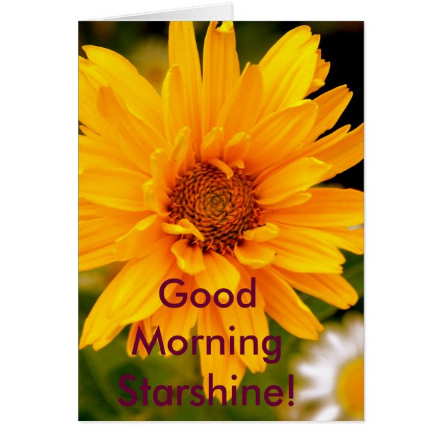 G'Morning Starshine (Front)