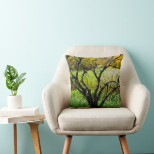 Gnarled Autumn Karelian Birch Tree Cushion