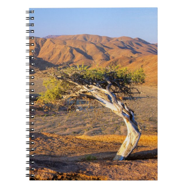 Gnarled Tree And Desert Lands, Richtersveld Notebook (Front)