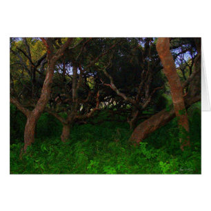Gnarled Trees