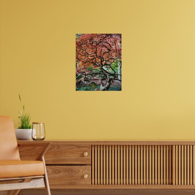 Gnarly Twisted Autumn Japanese Maple Tree Poster (Living Room 2)
